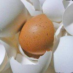 Польза яиц и яичной скорлупы