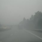 Автомобилист в тумане